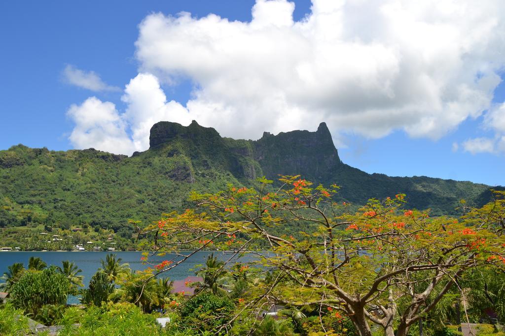 Te Fare Hinahei Apartamento Moorea Exterior foto